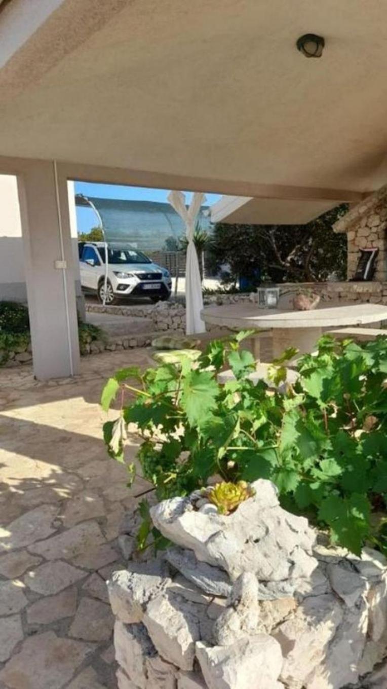 House Slobodna Holiday home
